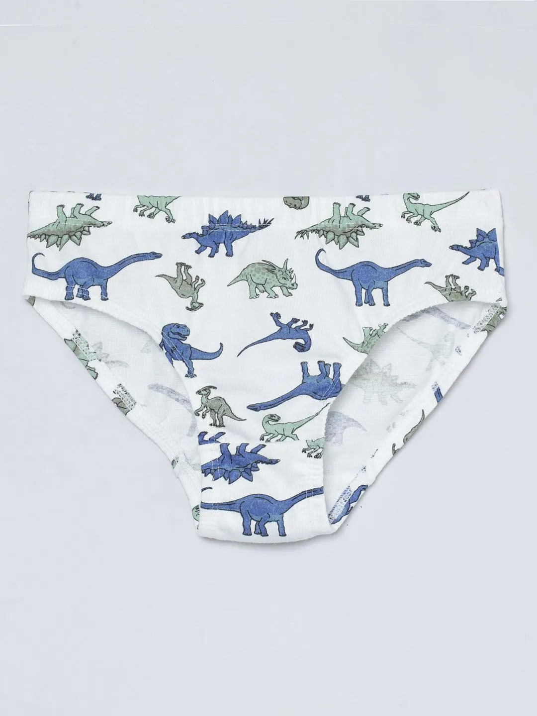 Boys Brief - Dino All Over Print & Solid Color Combo Pack Of 3