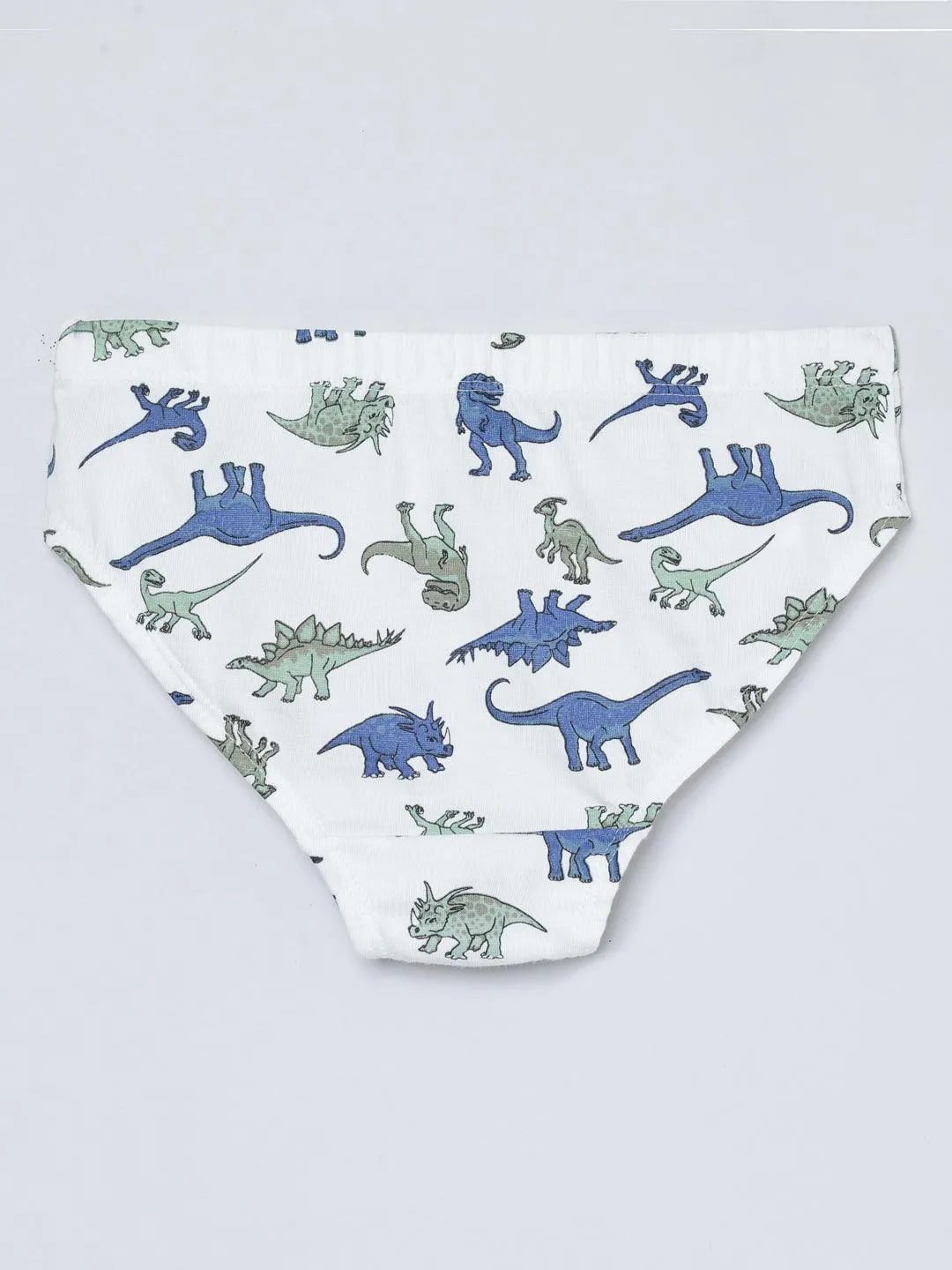 Boys Brief - Dino All Over Print & Solid Color Combo Pack Of 3