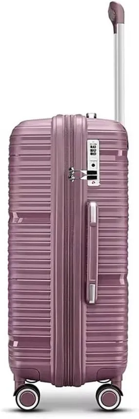 Fancial Expandable Luggage with Spinner Wheels, Purple, Carry-On 20-Inch