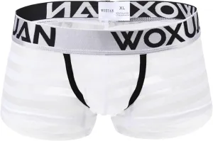 Men's Mesh Boxer Briefs Sexy Underwear Low Rise Pouch Trunks Underwear Men's Lingerie Underwear for Men