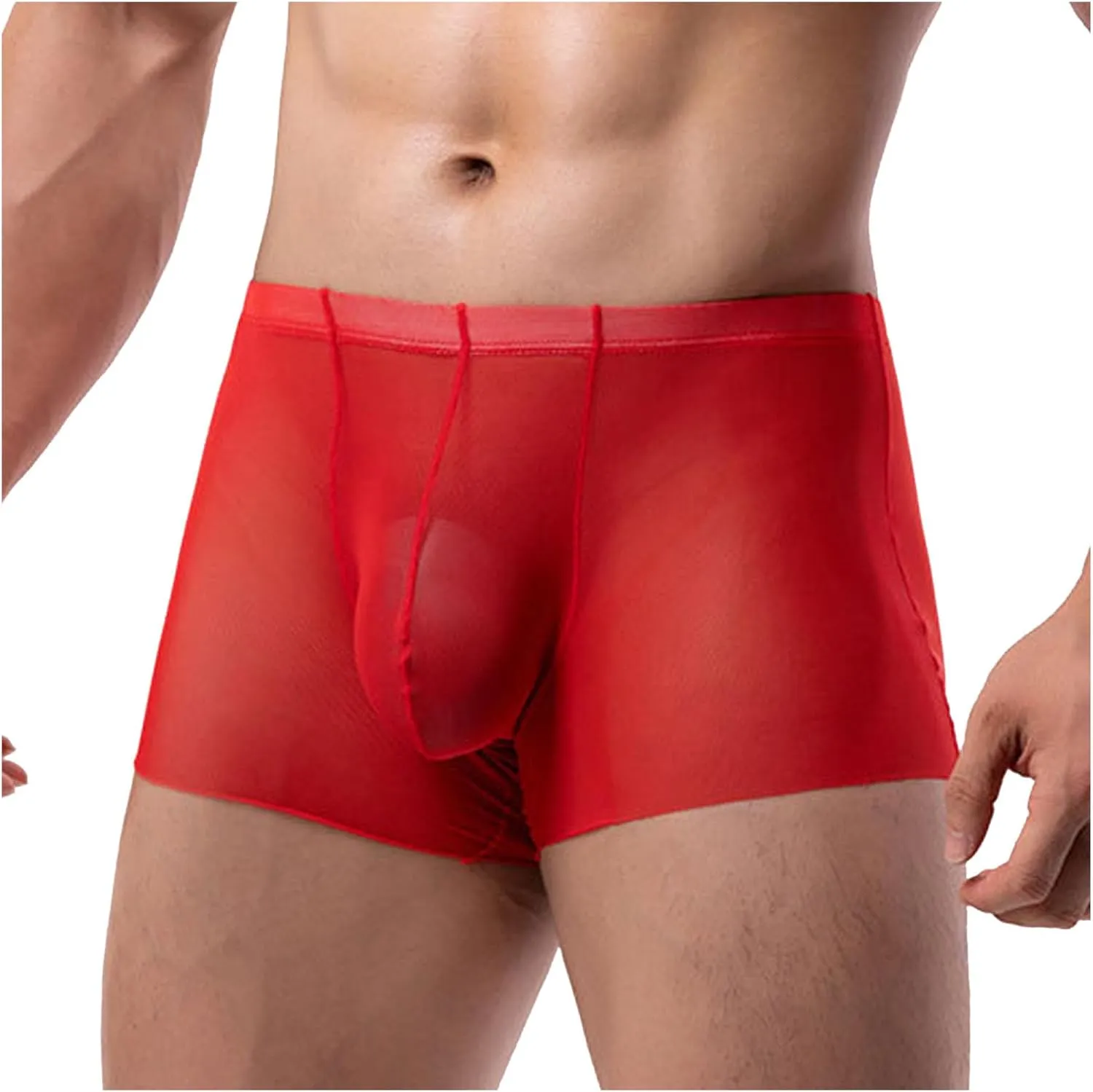Men's Mesh Sheer Boxer Briefs Sexy Breathable Underwear Silky Comfortable Shorts