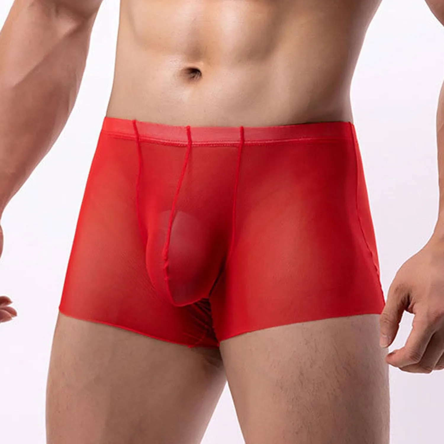 Men's Mesh Sheer Boxer Briefs Sexy Breathable Underwear Silky Comfortable Shorts