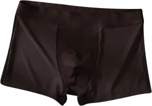 Mens Silk Underwear Boxer Briefs Soft Seamless Underwear Thin Quick Dry Breathable Boxer Briefs Trunks