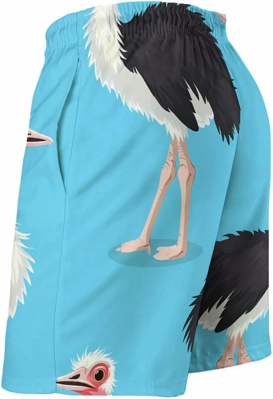 Ostrich Bird Print Men's Swim Trunks Quick Dry Board Shorts Breathable Summer Beach Shorts Bathing Suits