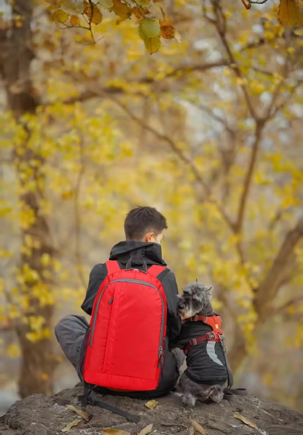 Ultra Lightweight-Packable-Hiking-Backpack Foldable Travel Camping Daypack Casual Outdoor Water-resistant 25L Bags (Red)